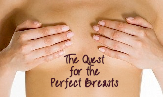Boobs, Jugs, Hooters & Tits: The Quest for the Perfect Breasts - Kathleen  Hassan